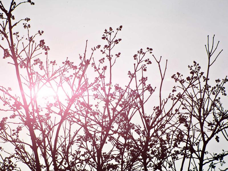 sudoku patience training screenshot 2