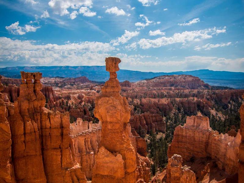 sudoku patience training screenshot 3